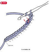 How to Half Double Crochet in the Starting Chain