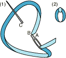 Lazy Daisy Stitch Using Ribbon diagram