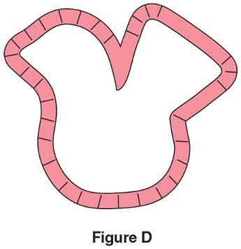 Needle-turn Applique Figure D